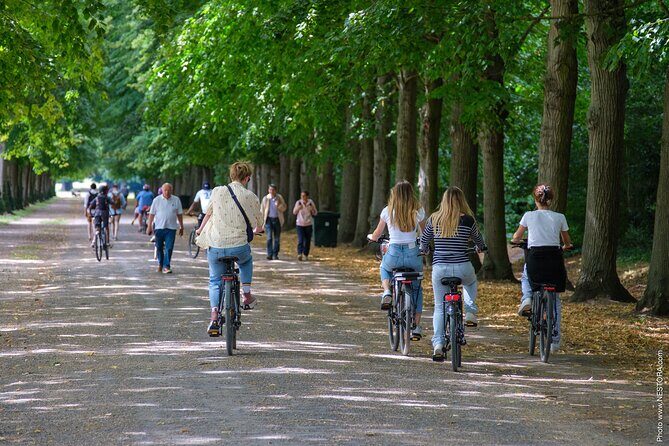 Versailles: Bike Rental, Different Sizes - Versailles Grand Parc by Bike: What the Day Feels Like